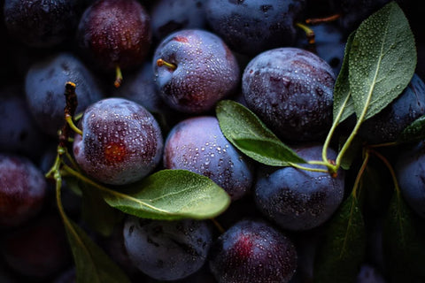Davidson Plum