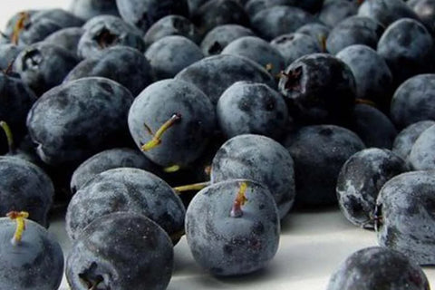 Organic Acai Berry Oil