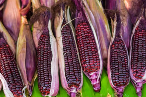 Purple Corn Powder